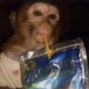 Meet your Posher, Mason devon